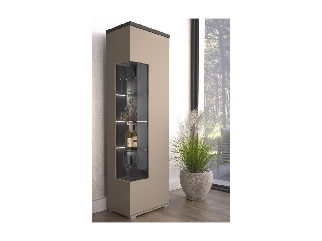 Meubiana and Anthracite 1-Door Display Cabinet